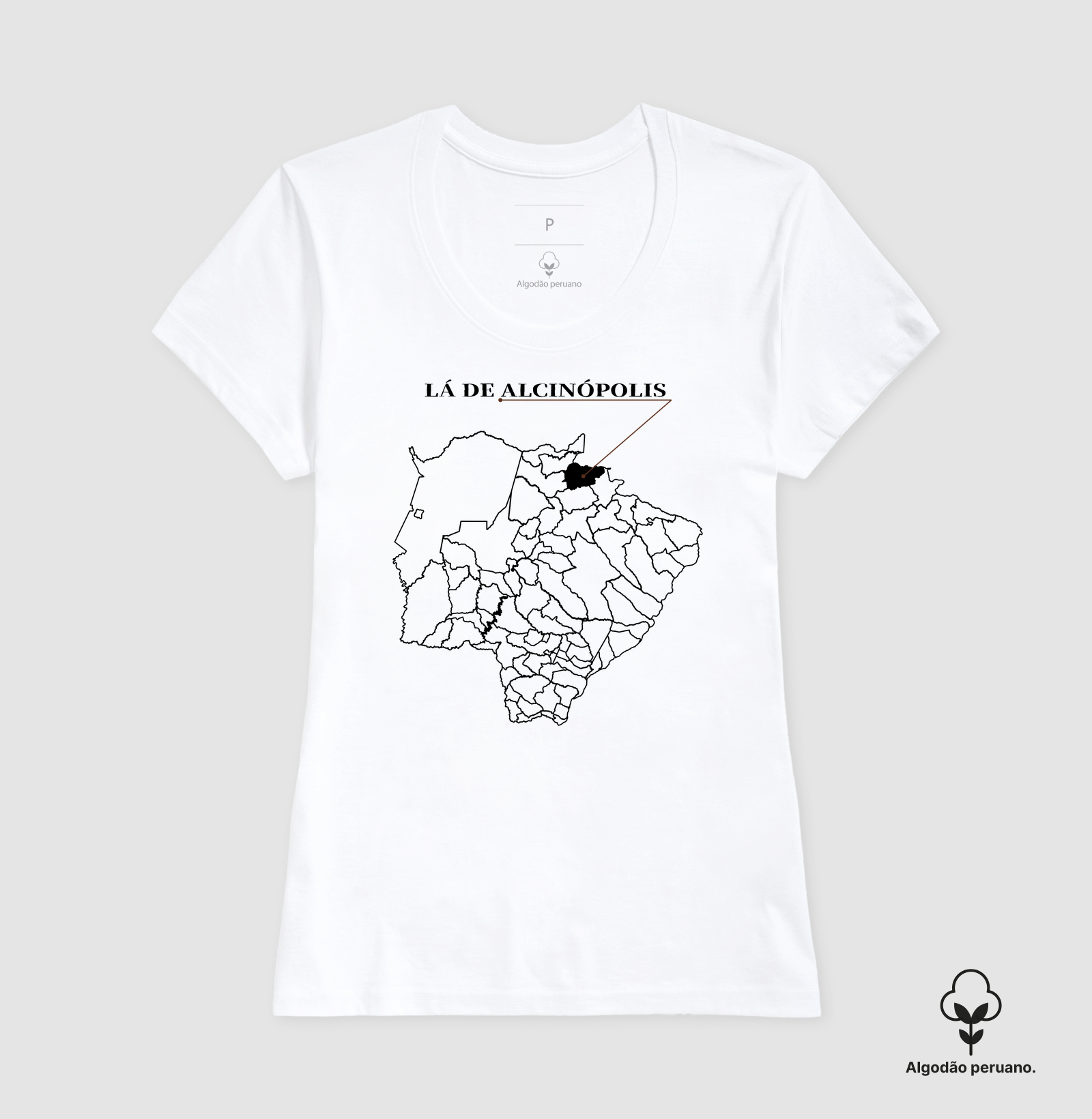 Alcinópolis | Origem MS - Imagem 6