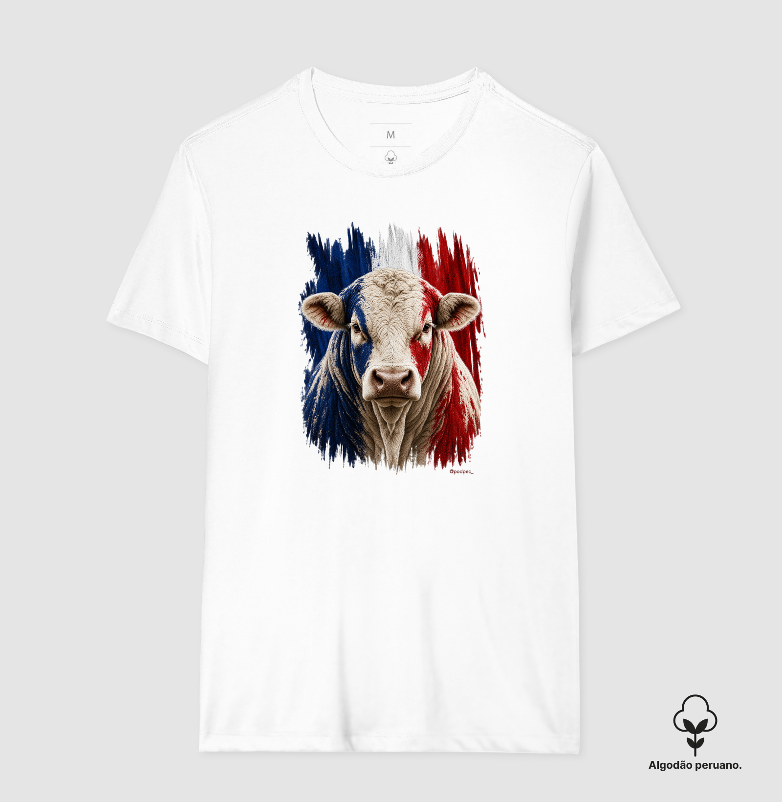 Charolês da França - Imagem 2