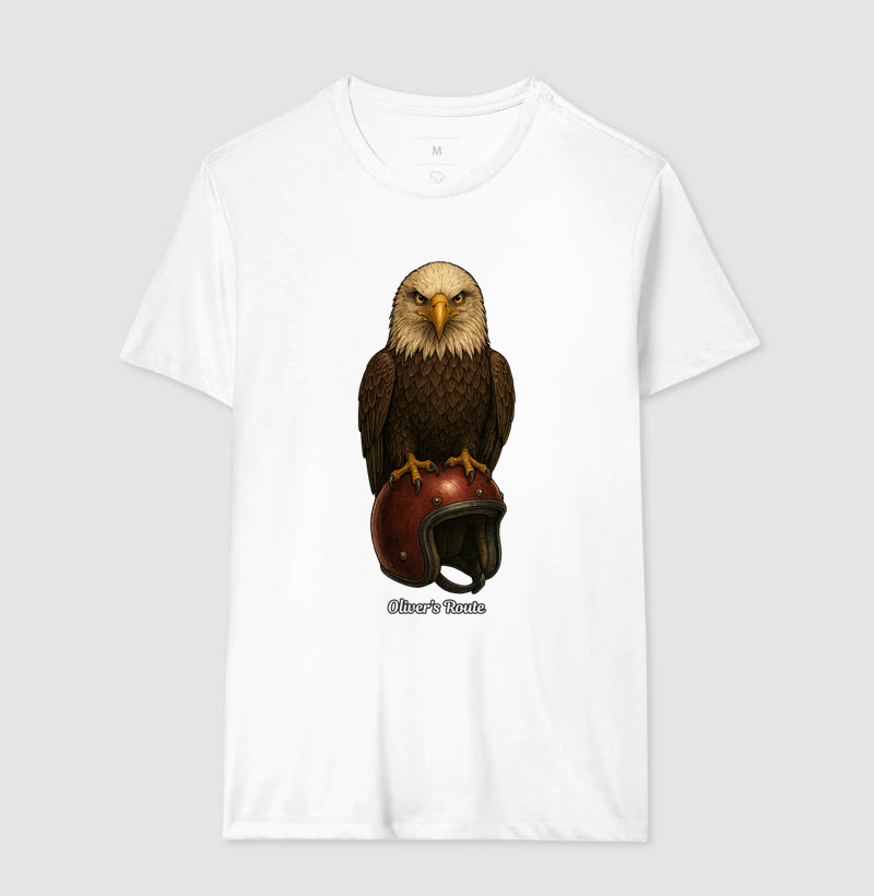 The Eagle and the Helmet - Imagem 4