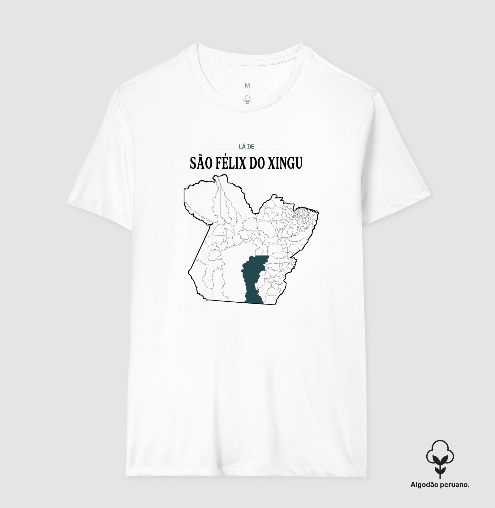 São Félix do Xingu | Território PA - Imagem 7