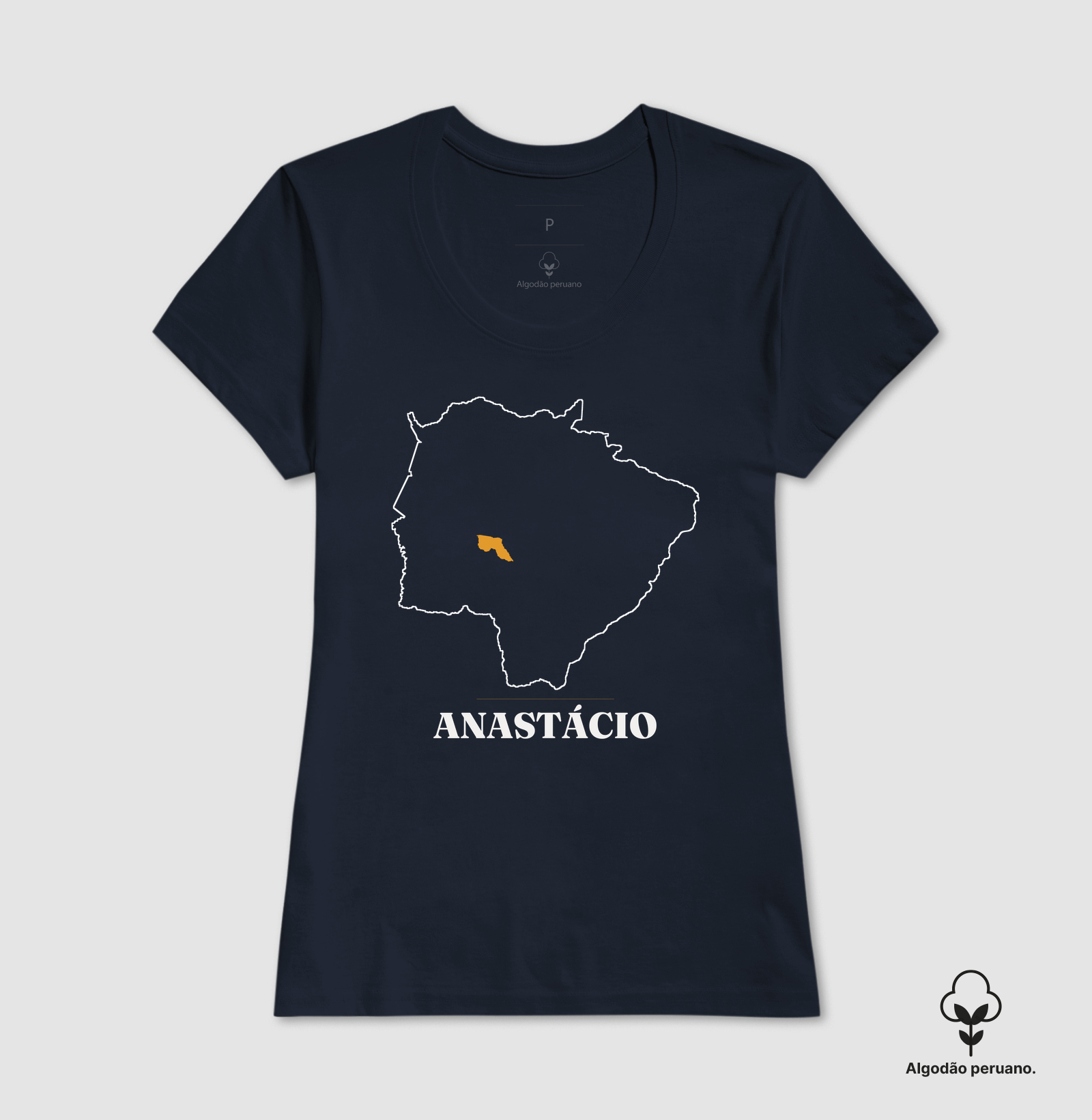 Anastácio | Traço MS - Imagem 7