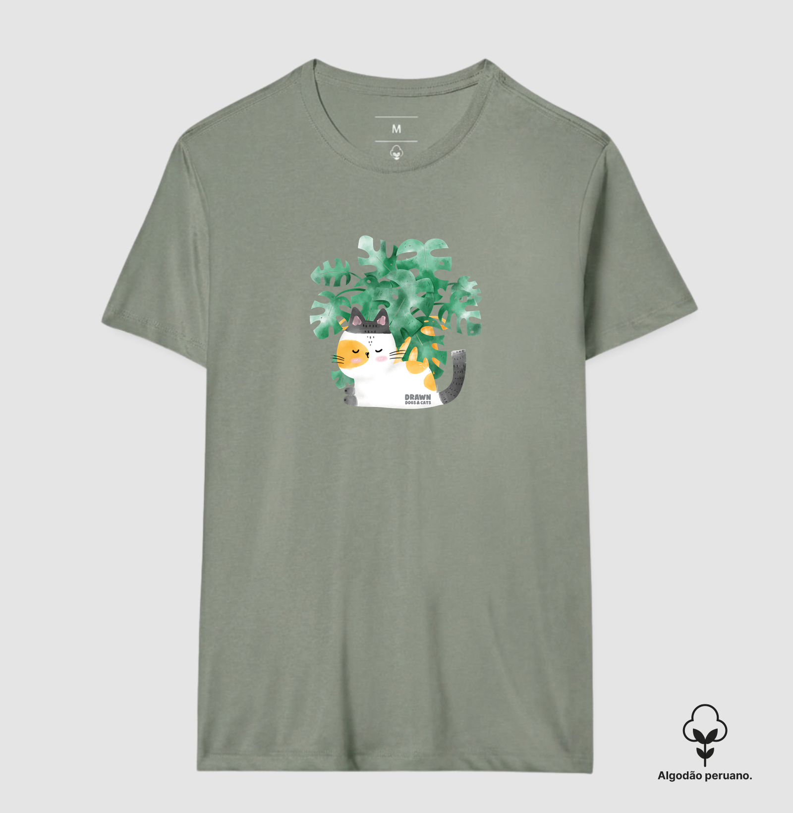Gatinho branco e folhas de costela de Adão - Imagem 6