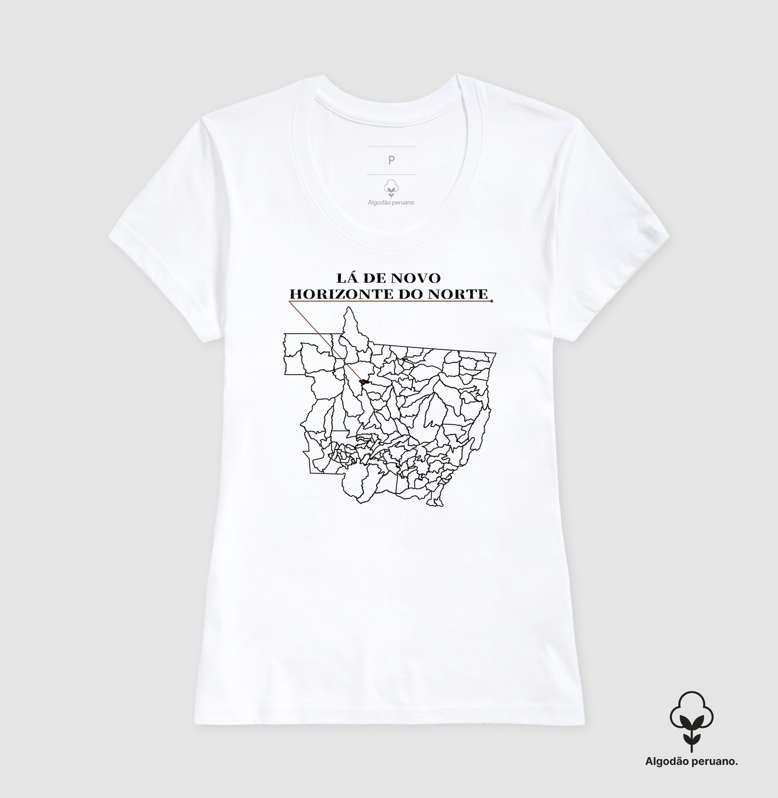 Novo Horizonte do Norte | Origem MT - Imagem 7