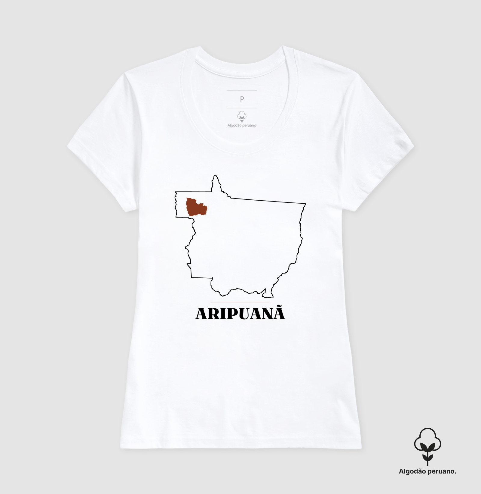 Aripuanã | Traço MT - Imagem 8