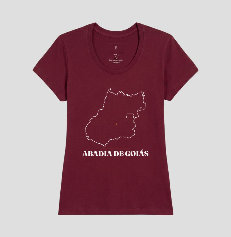 Abadia de Goiás | Traço GO - Imagem 19