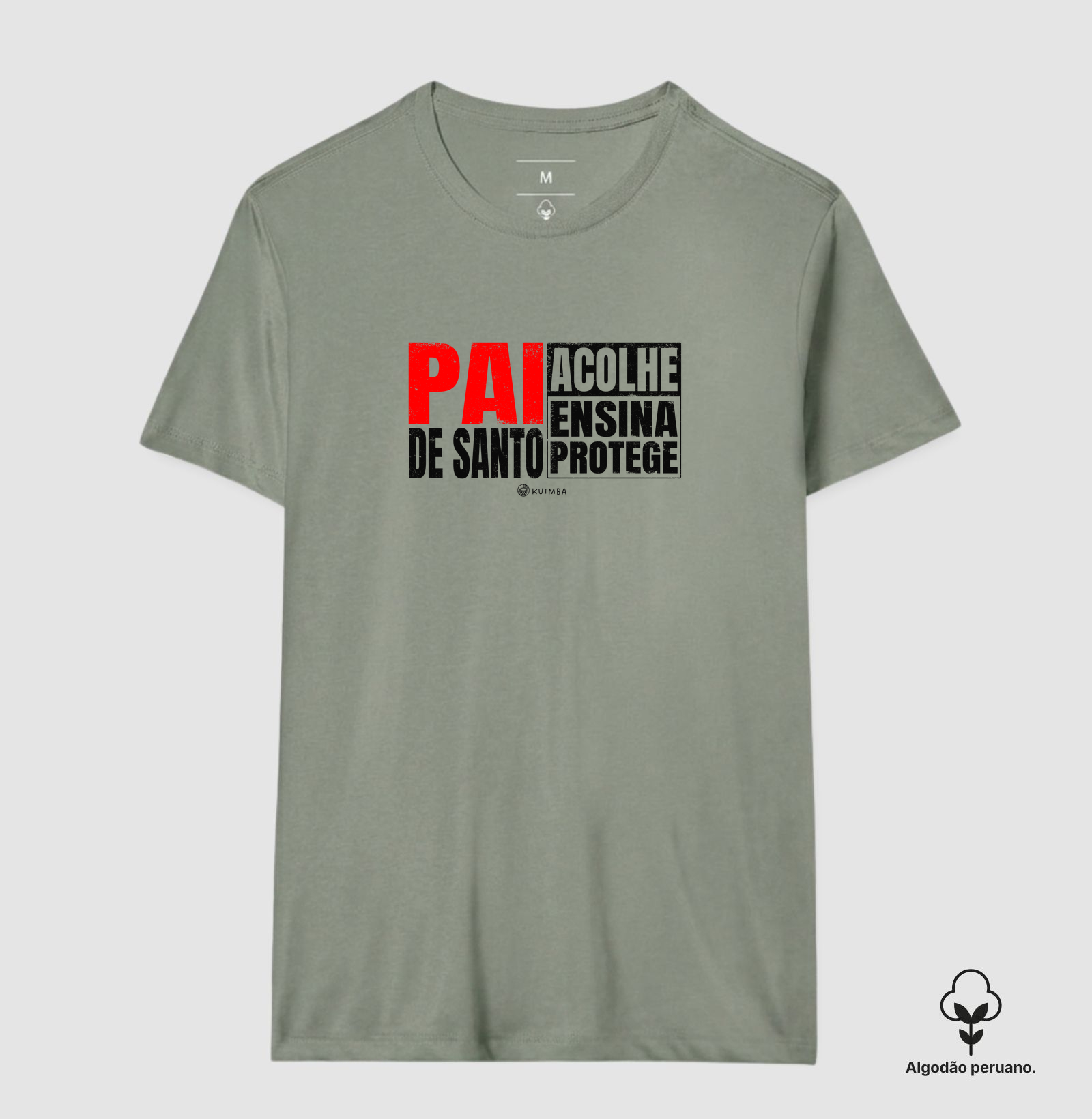 Pai de santo alicerce do axé - Imagem 9