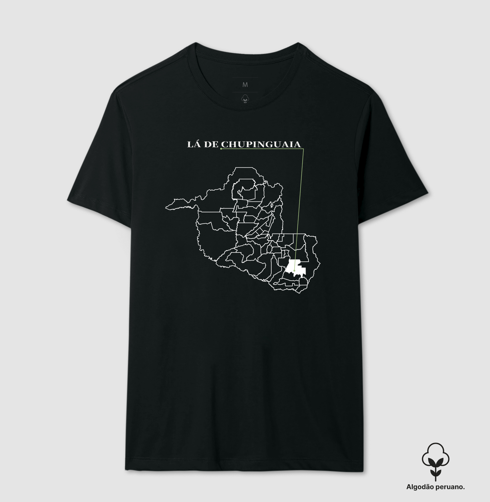 Chupinguaia | Origem RO - Imagem 4