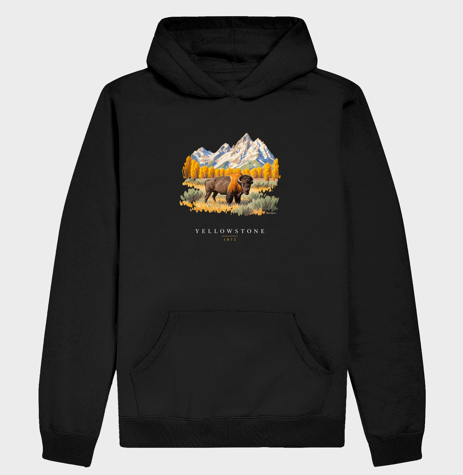 Bison - Yellowstone - Imagem 2