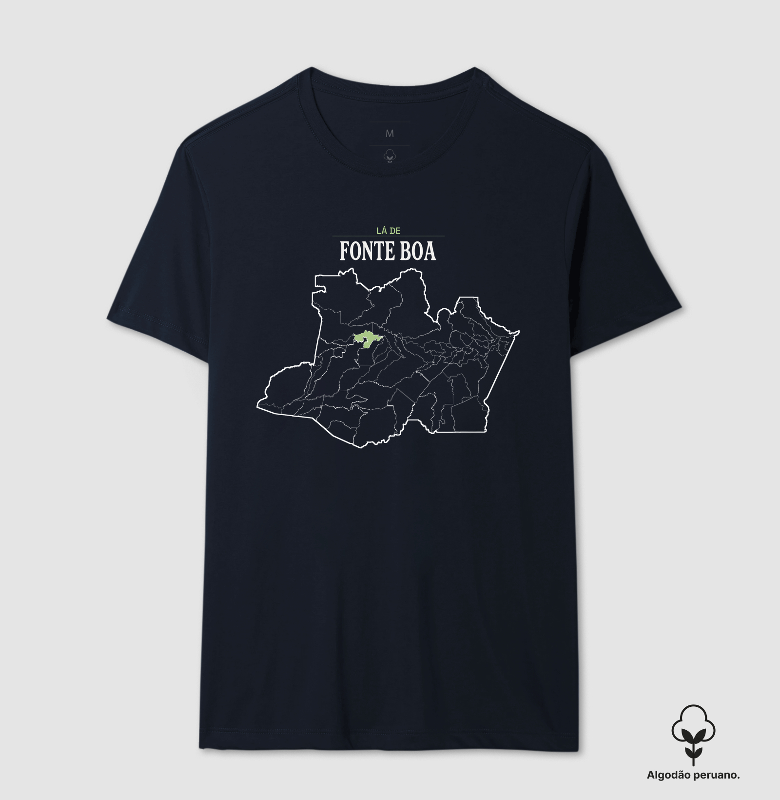 Fonte Boa | Território AM - Imagem 5