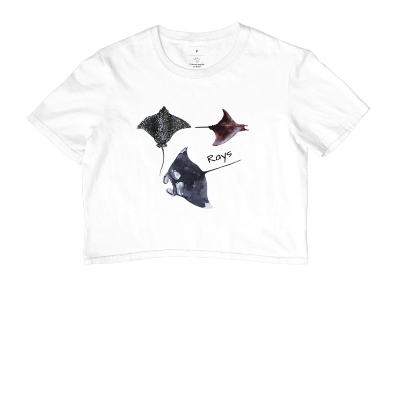 Rays - Imagem 5