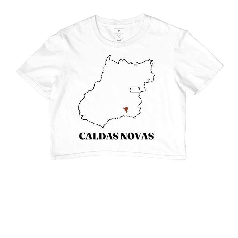 Caldas Novas | Traço GO - Imagem 3