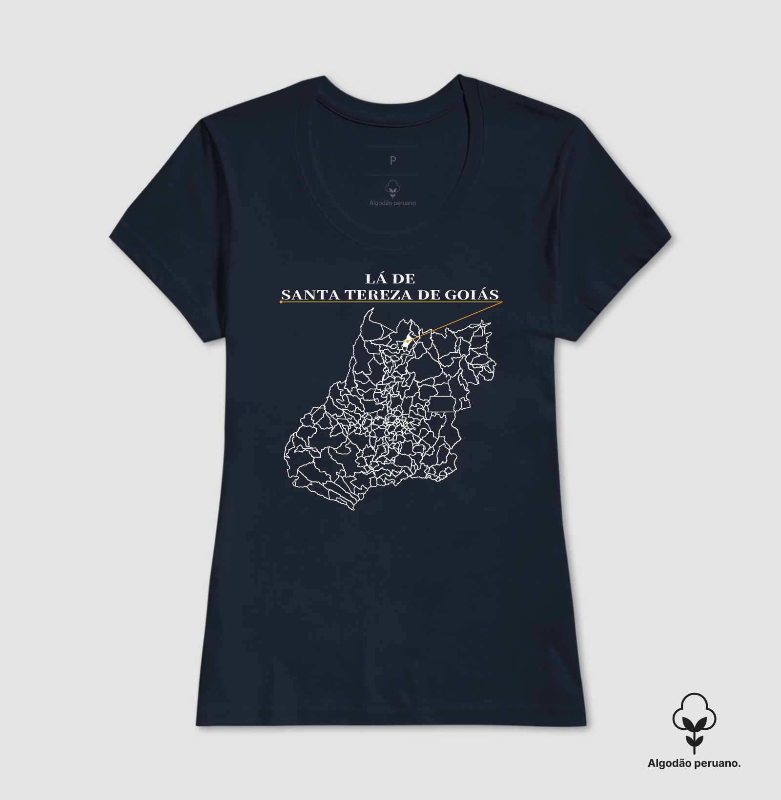 Santa Tereza de Goiás | Origem GO - Imagem 3
