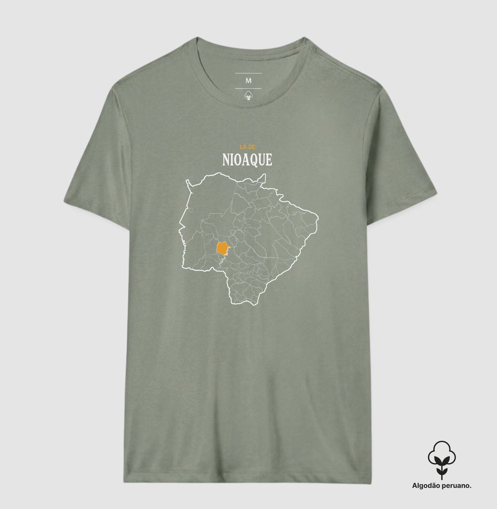 Nioaque | Território MS - Imagem 6