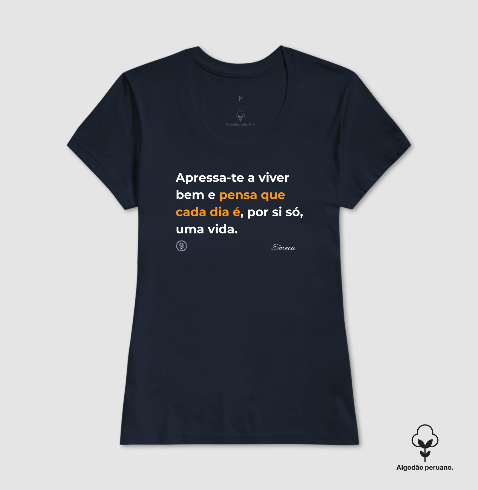 Estocisimo de Sêneca "Apressa-te a viver bem" - Imagem 8