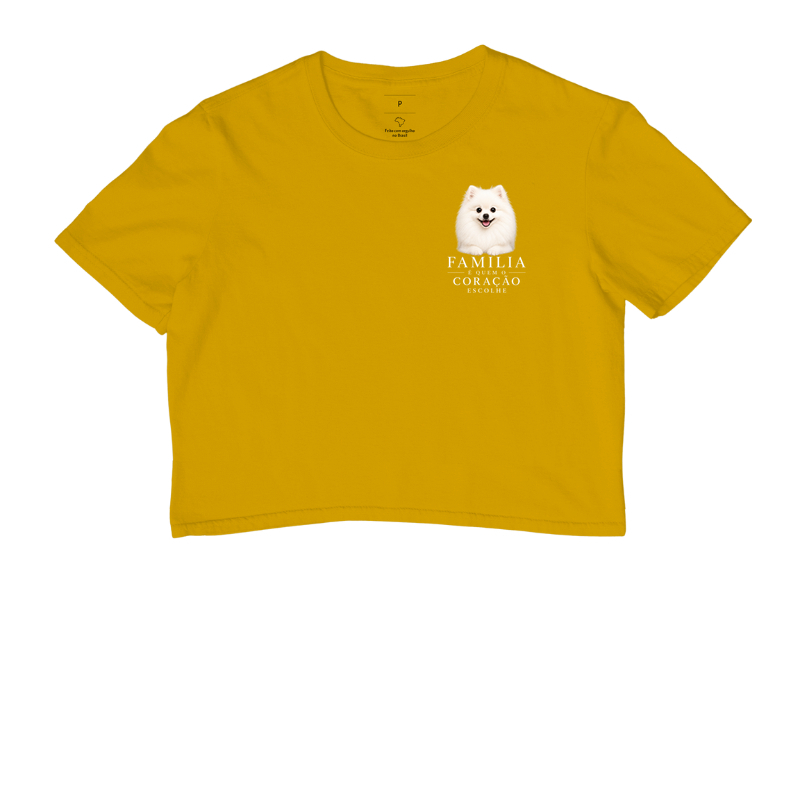 Pomerânia (Spitz Alemão) Branco - Família - Imagem 8