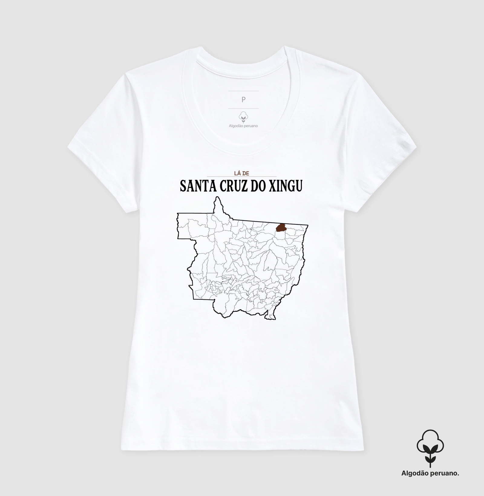 Santa Cruz do Xingu | Território MT - Imagem 7