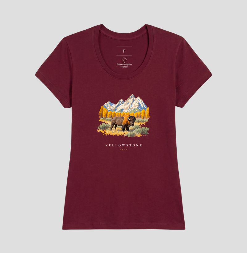 Bison - Yellowstone - Imagem 17