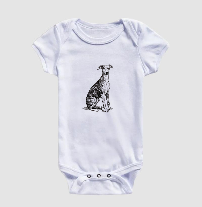 Galgo - Desenho - Imagem 3