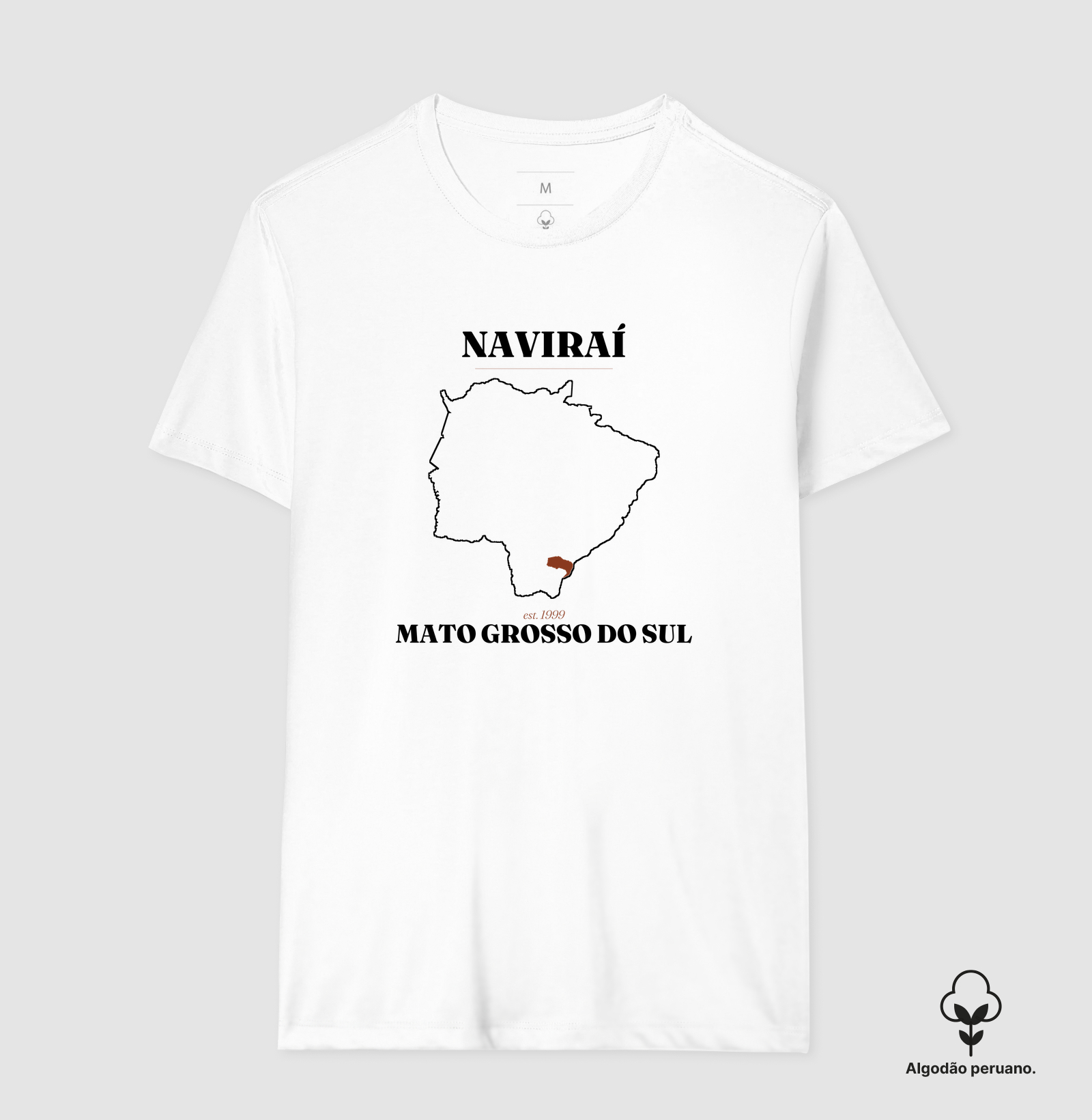 Naviraí | Legado MS - Imagem 6