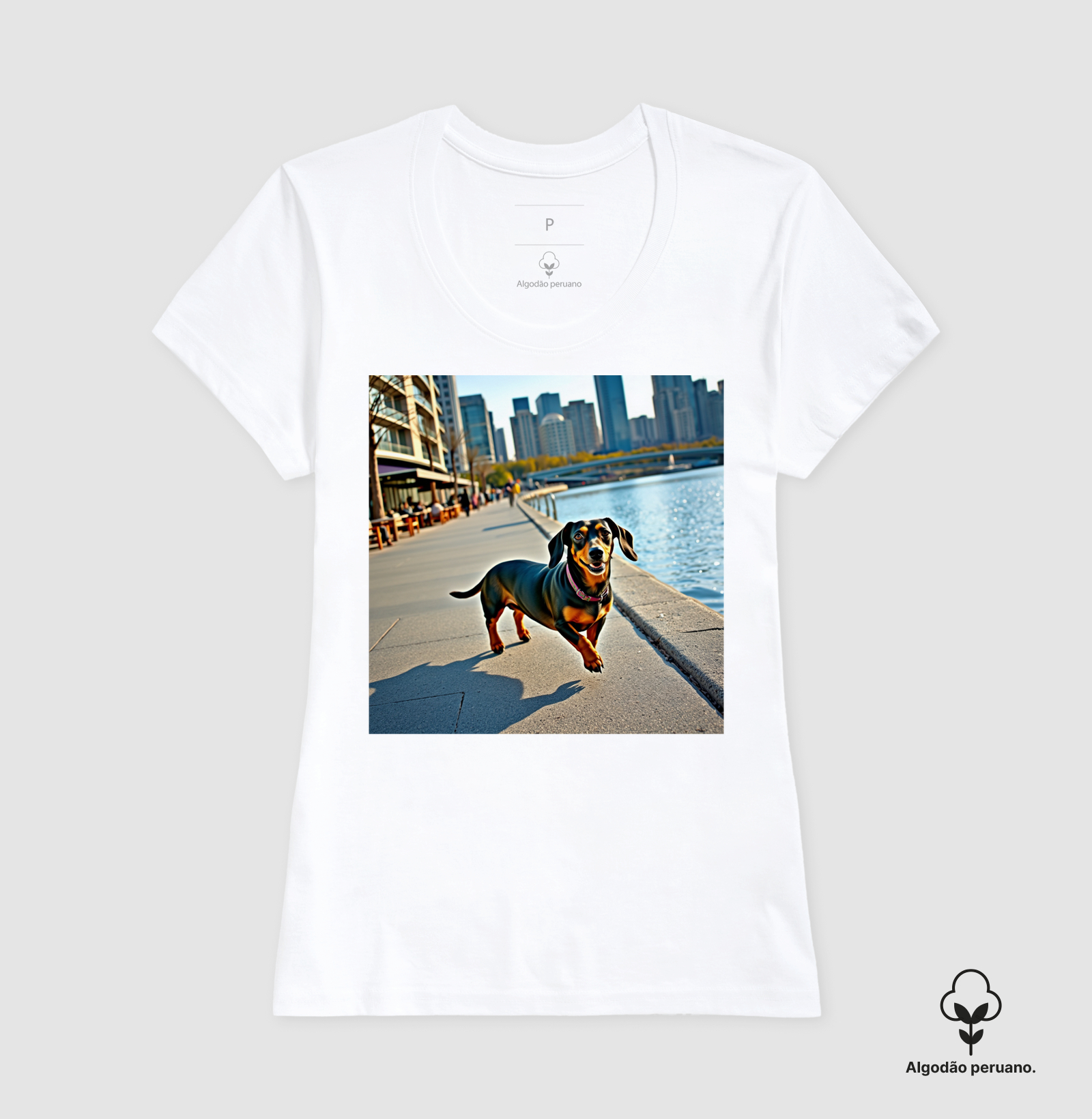 Camisa 5