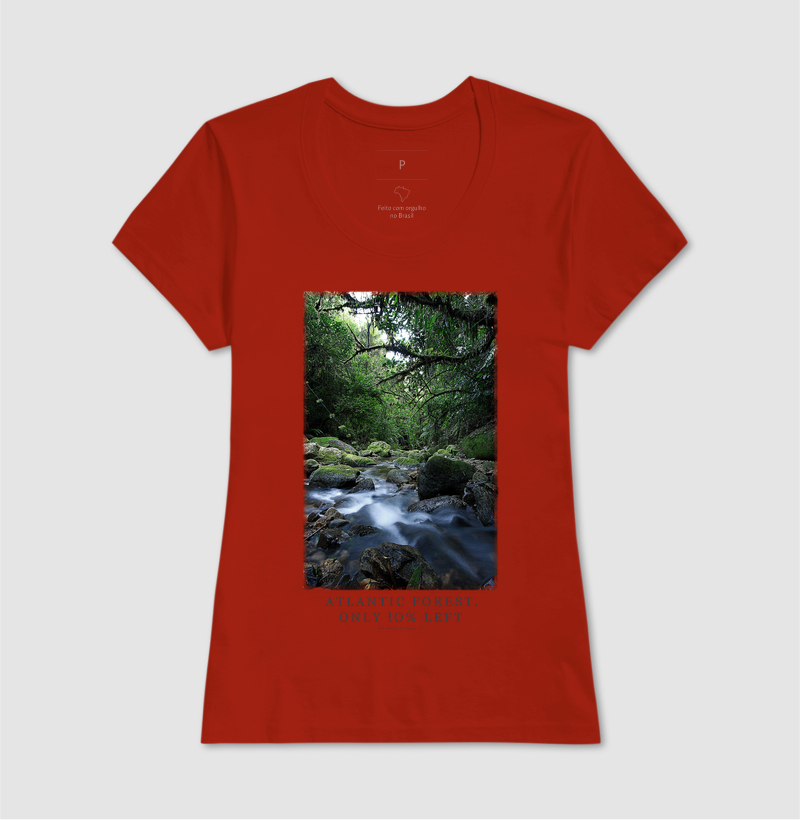 Atlantic Forest - Imagem 7