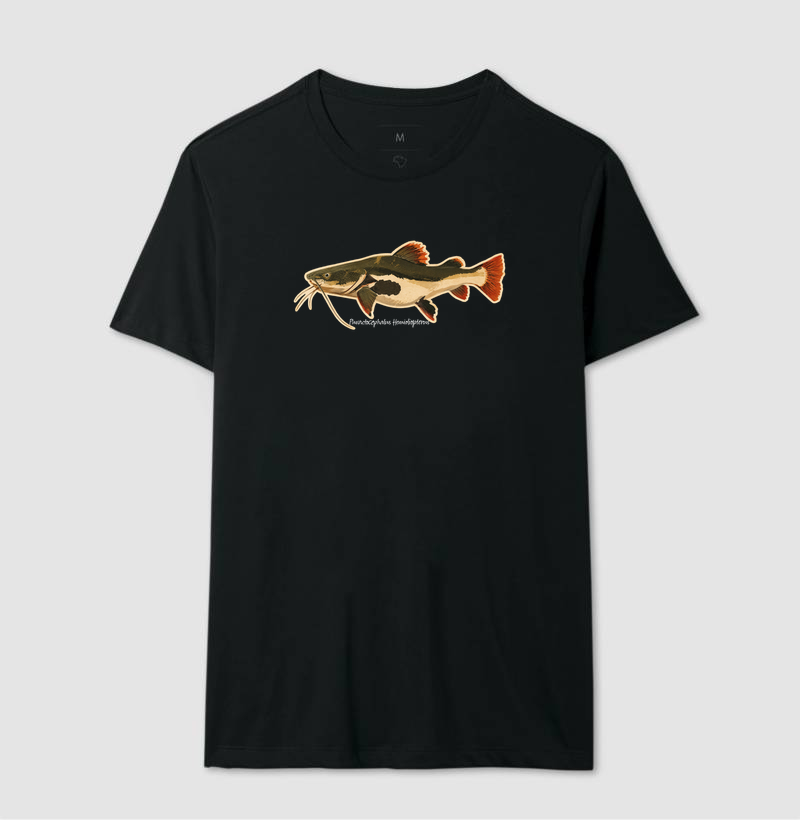 Pirarara 🐟 - Imagem 2