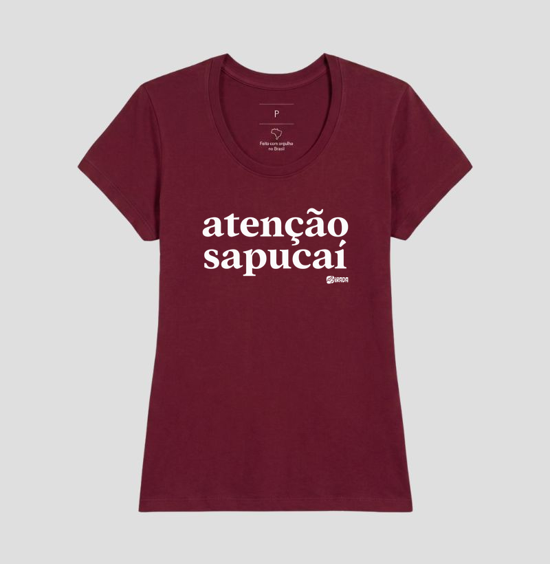 Atenção, Sapucaí - Imagem 17