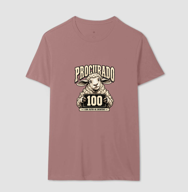 A Ovelha 100 - Imagem 16