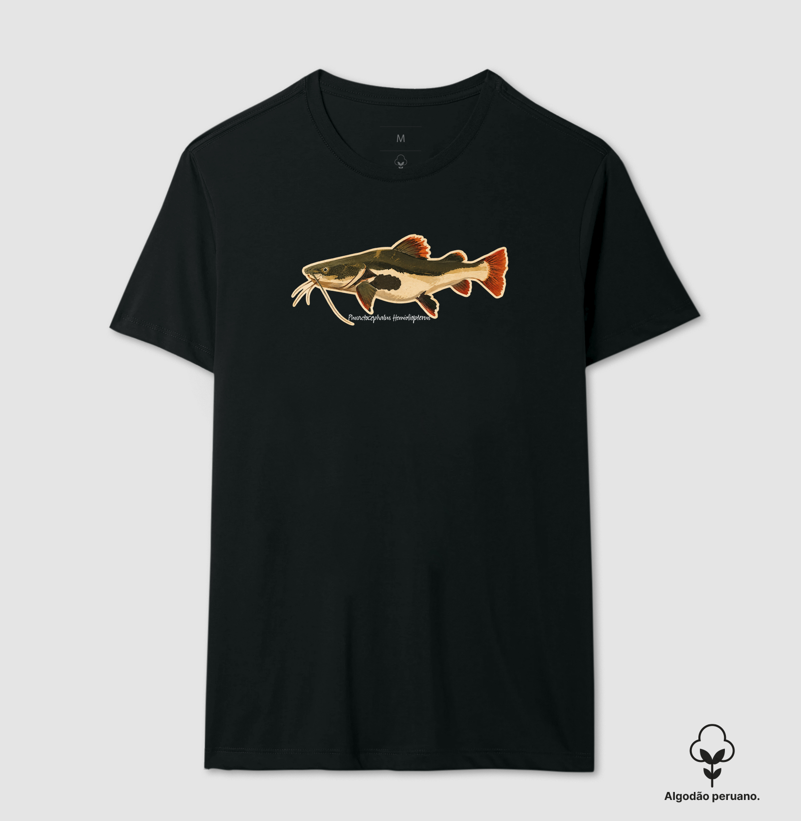 Pirarara 🐟 - Imagem 2