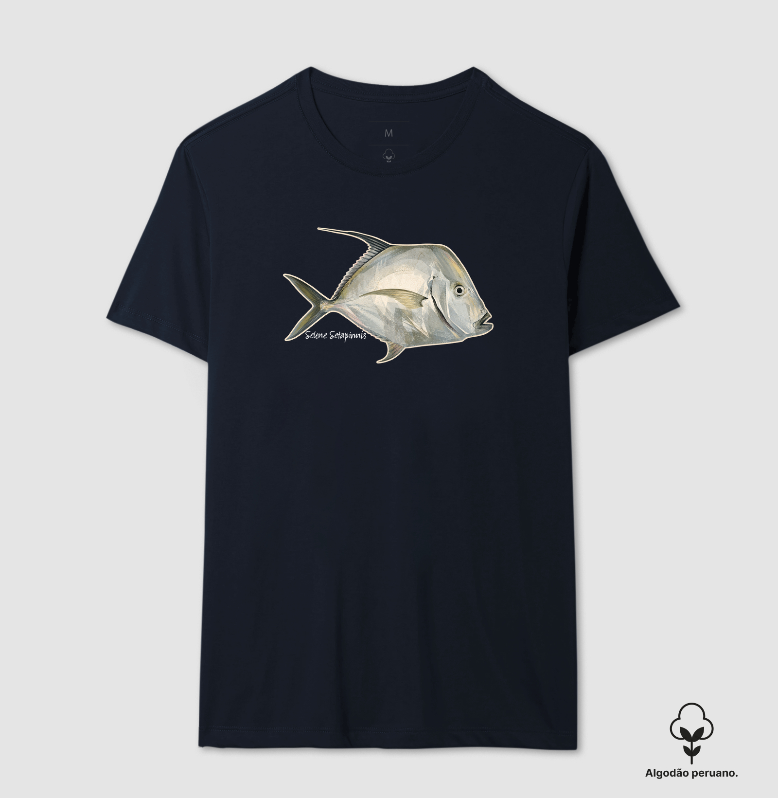 Peixe-Galo - Imagem 4