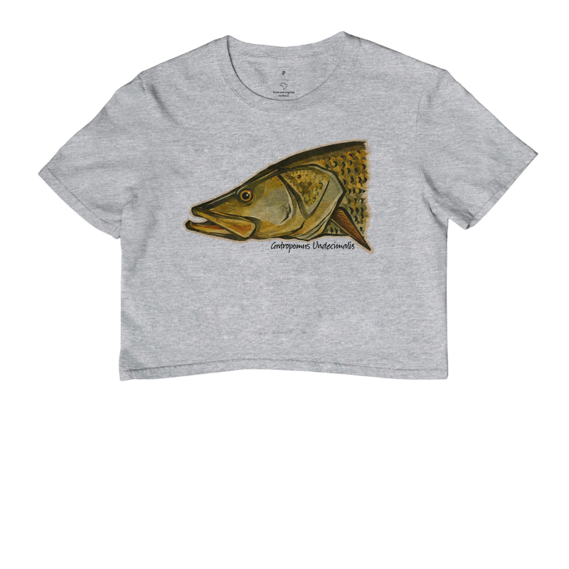 Robalo-Flecha - Imagem 6