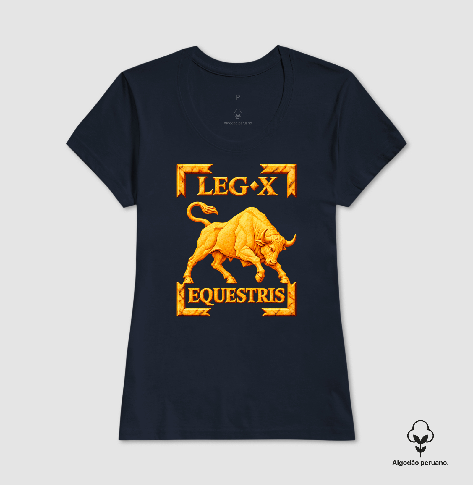 LEGIO — X Equestris - III - Imagem 8