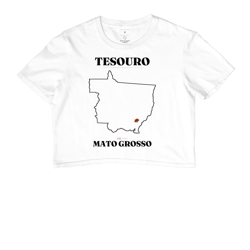 Tesouro | Legado MT - Imagem 3