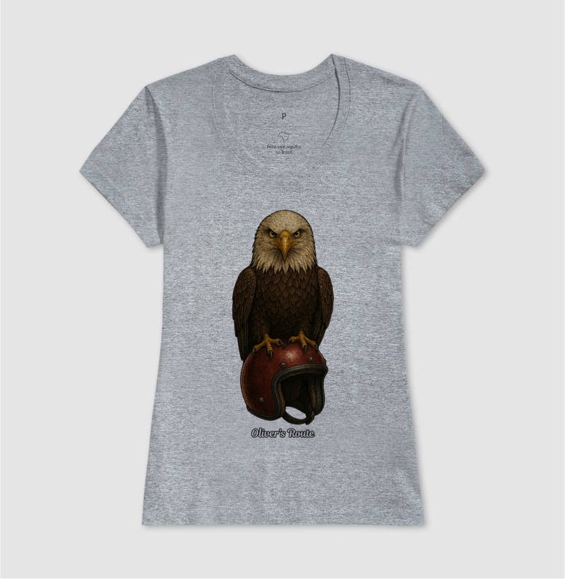 The Eagle and the Helmet - Imagem 9