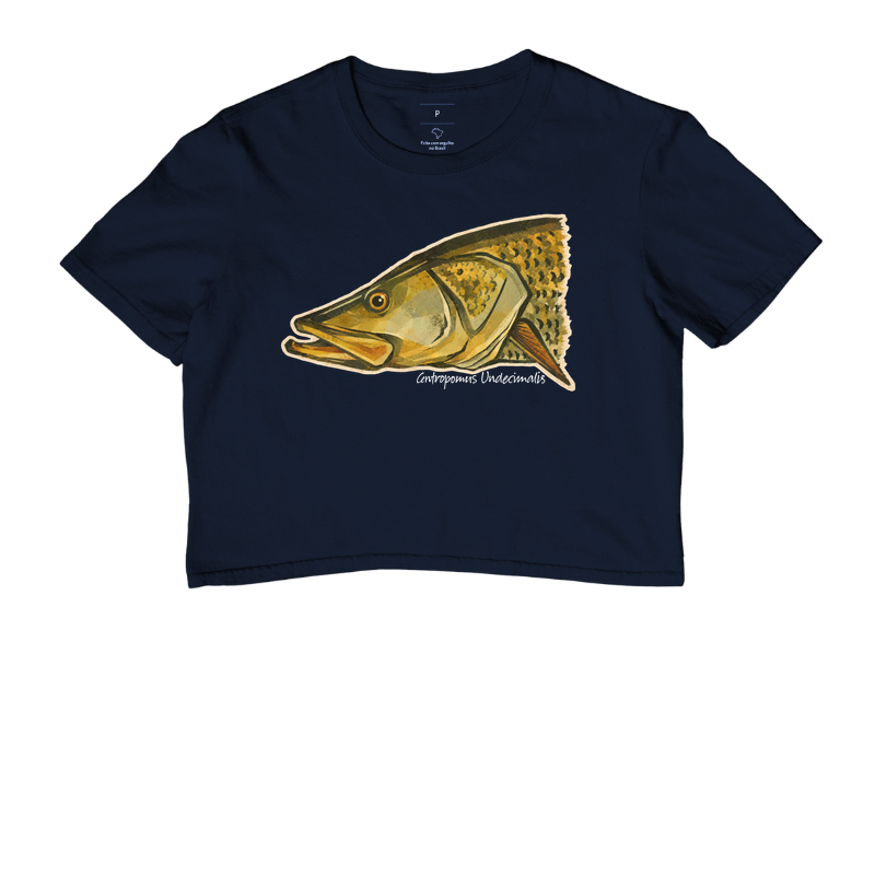 Robalo-Flecha - Imagem 4