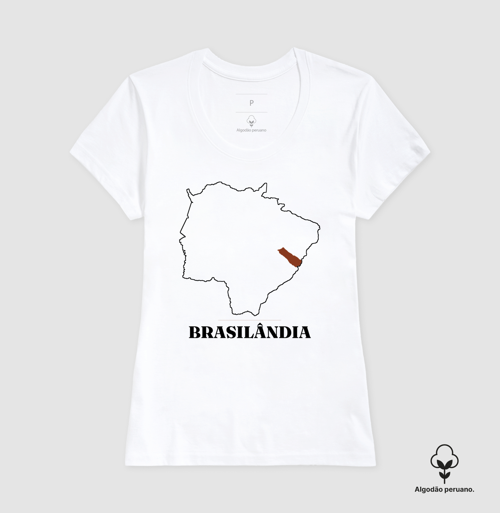 Brasilândia | Traço MS - Imagem 7