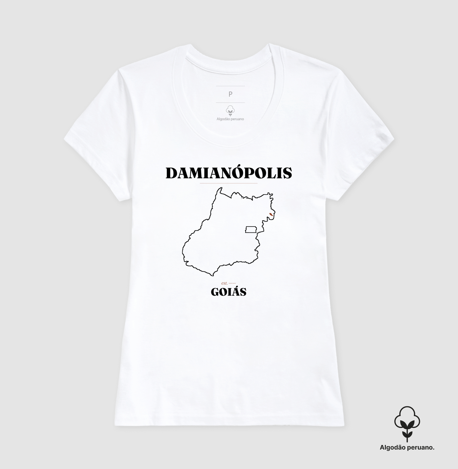 Damianópolis | Legado GO - Imagem 7
