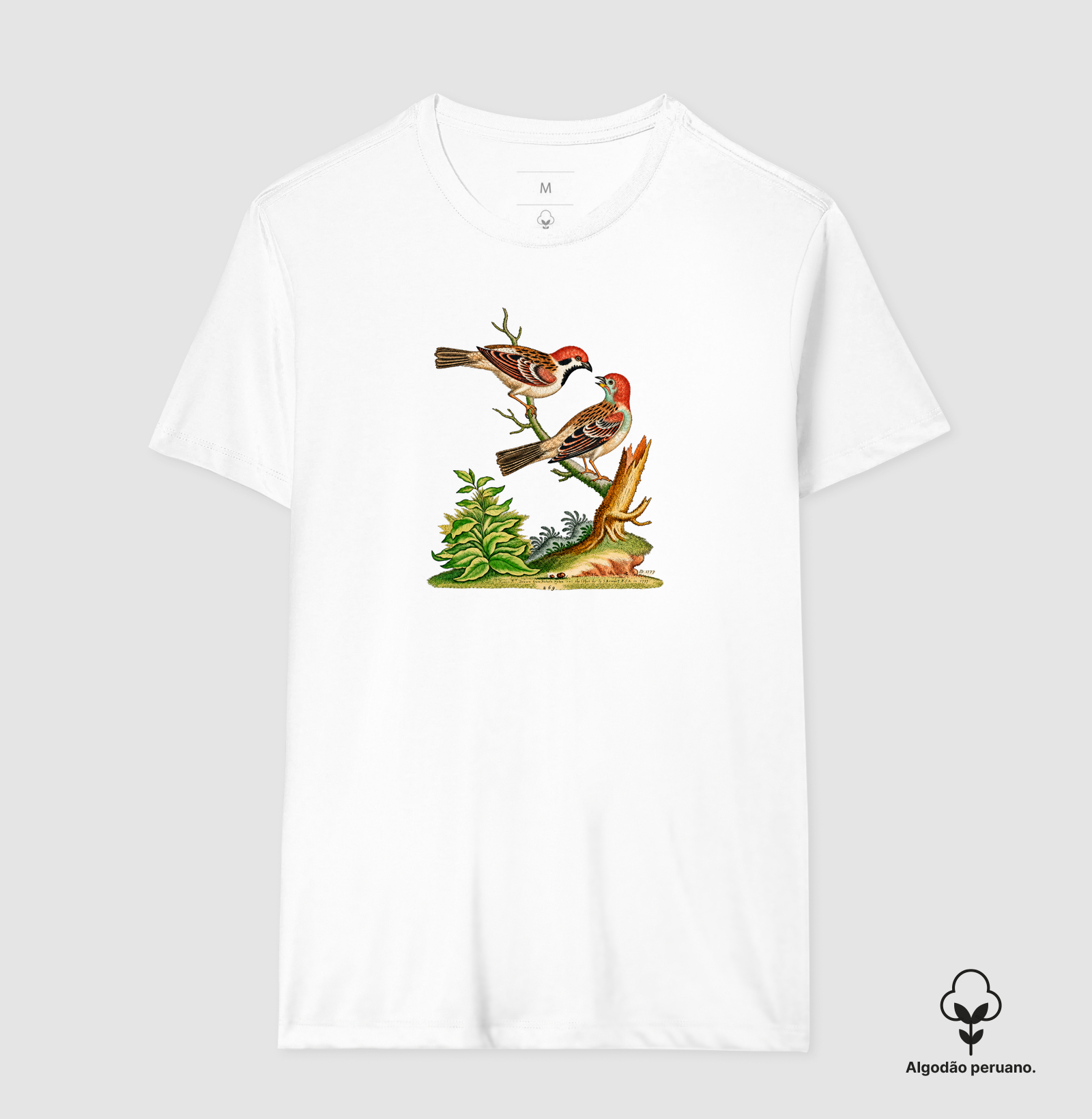 Camiseta Pássaros — História Natural do Século XVIII - Imagem 5