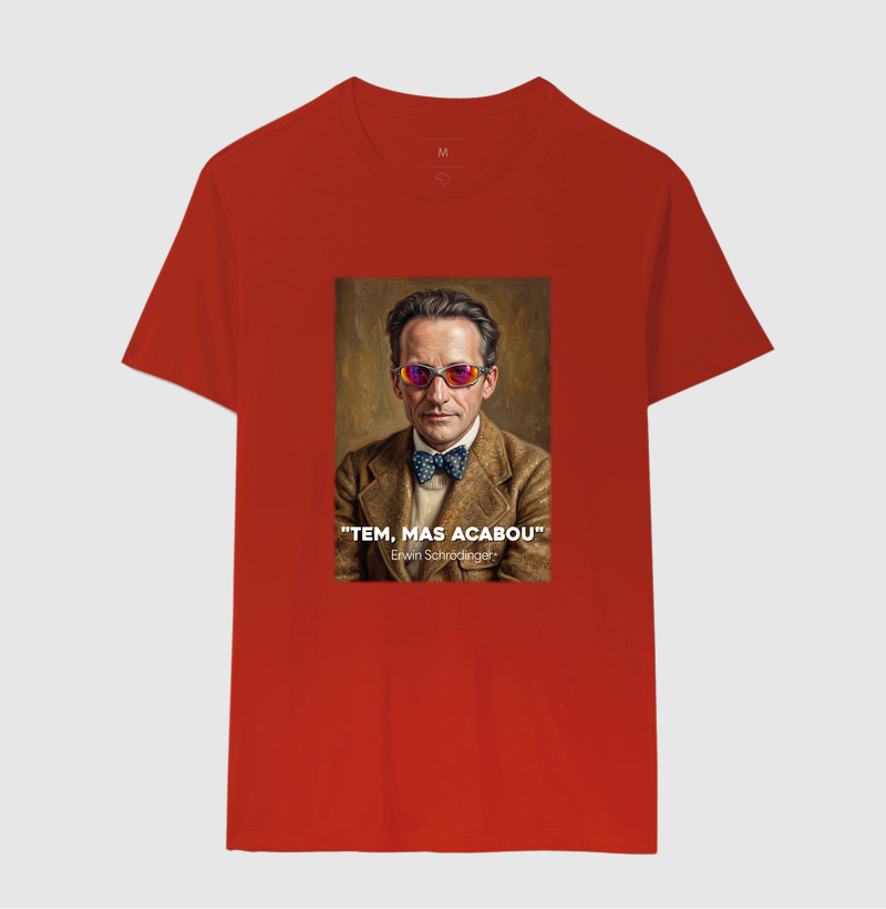 Erwin Schrödinger - Vida Loka - Imagem 10