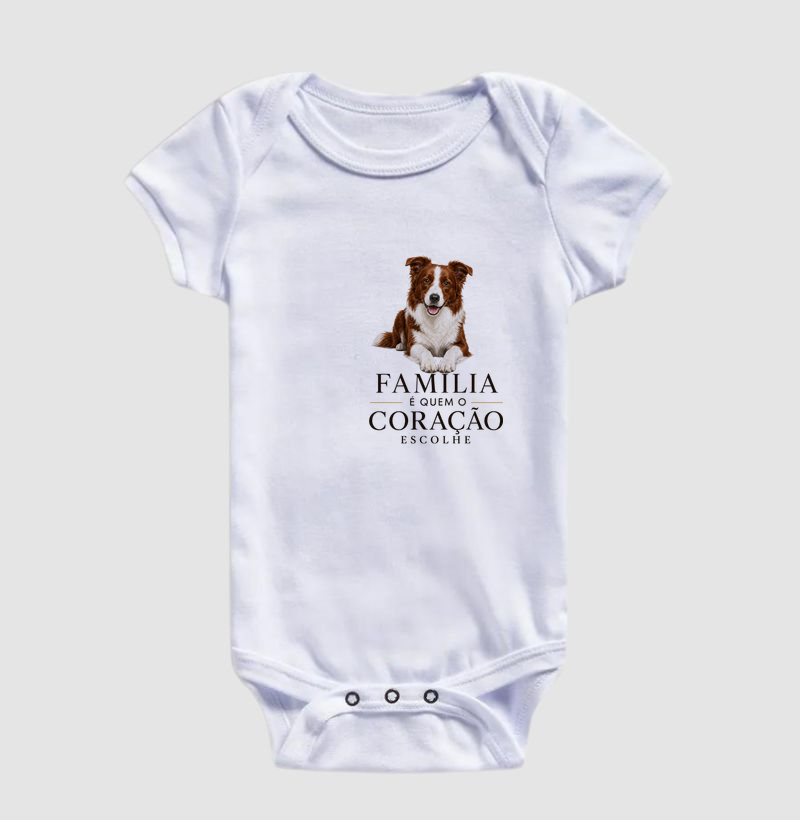 Border Collie Marrom - Família - Imagem 3