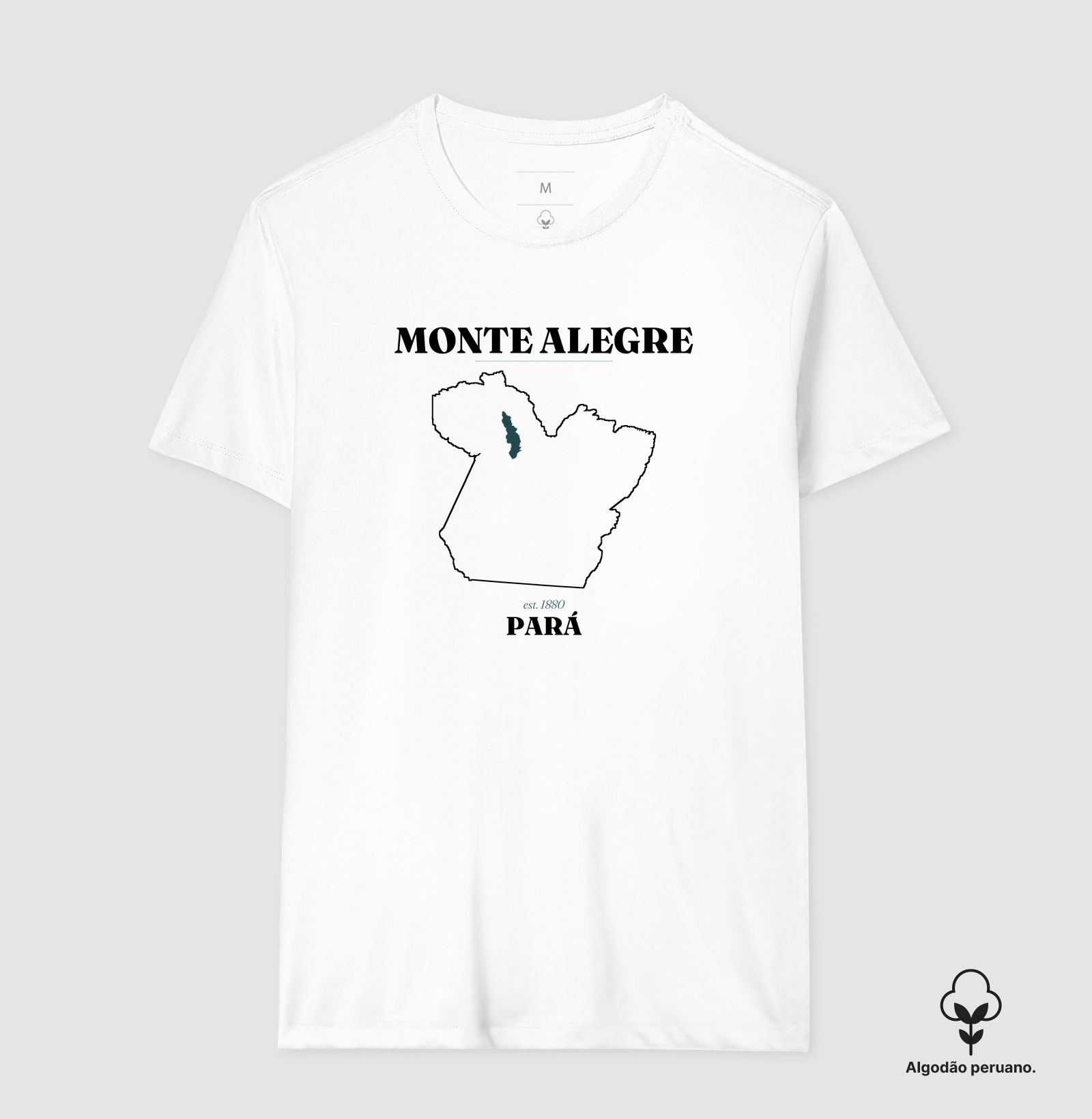 Monte Alegre | Legado PA - Imagem 7