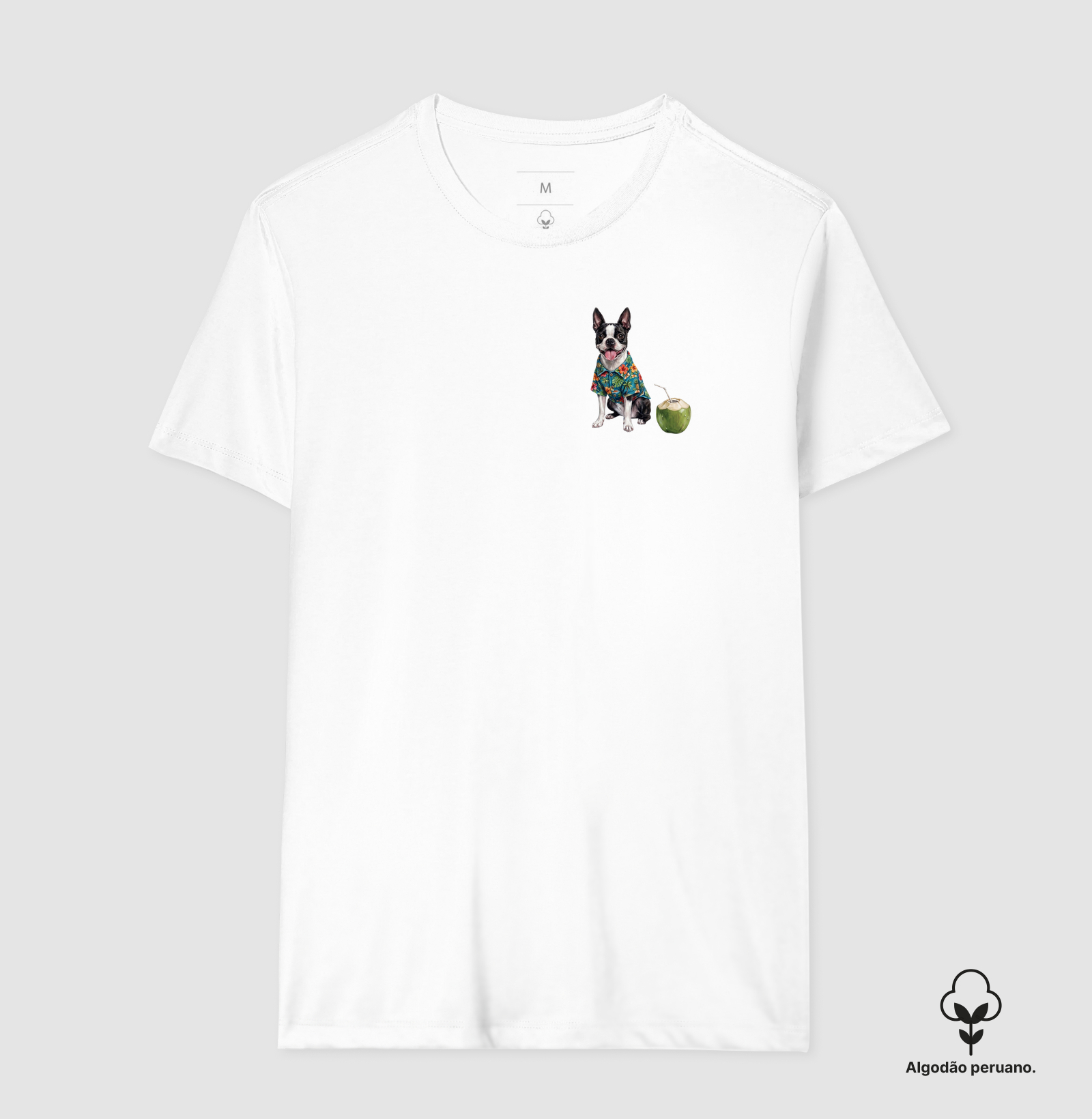 Boston Terrier - Férias - Imagem 4