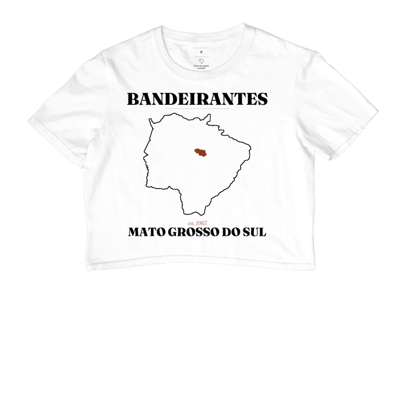 Bandeirantes | Legado MS - Imagem 3