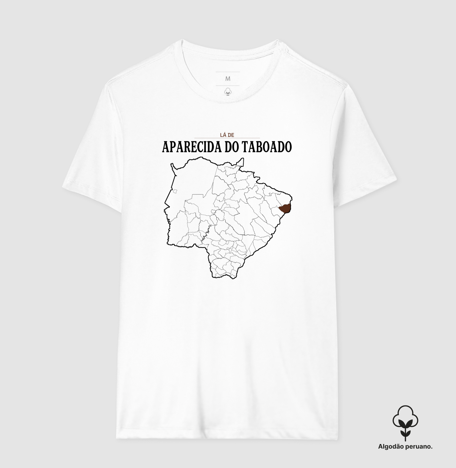 Aparecida do Taboado | Território MS - Imagem 7