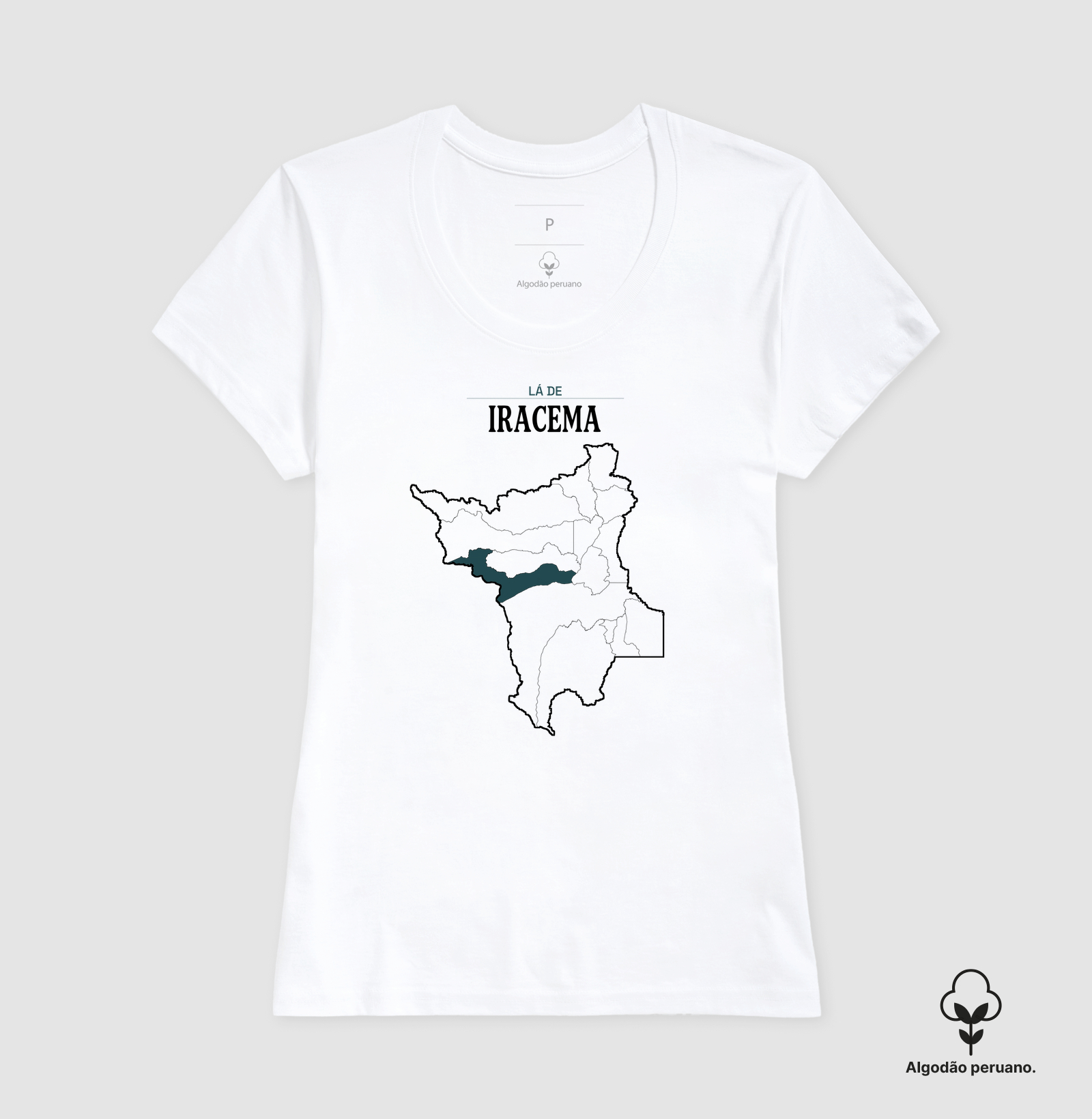 Iracema | Território RR - Imagem 8