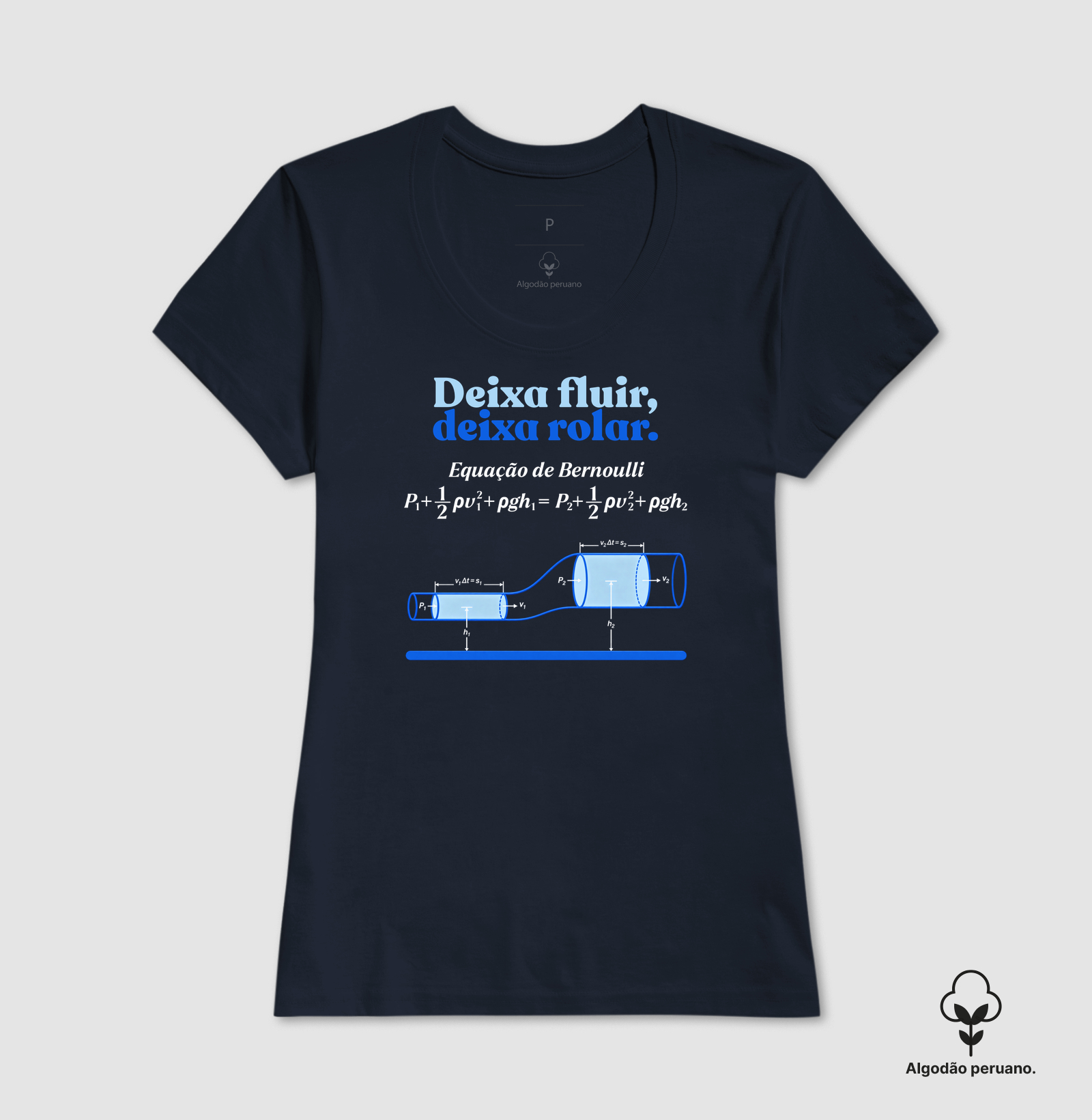 Deixa fluir, deixa rolar - Equação de Bernoulli - Imagem 12