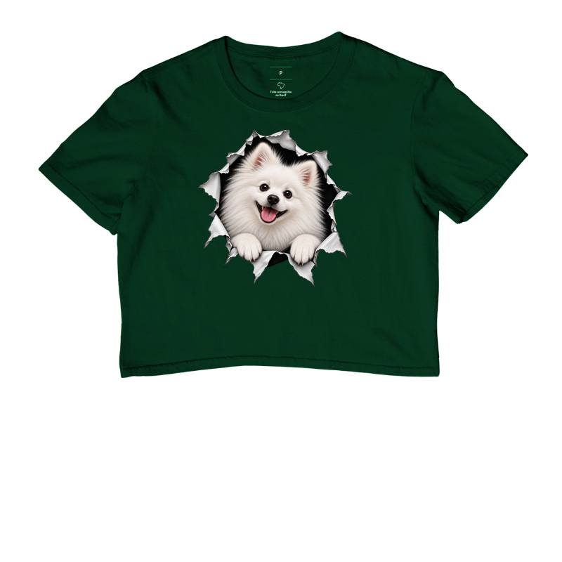 Pomerânia (Spitz Alemão) Saindo da Camisa - Imagem 5