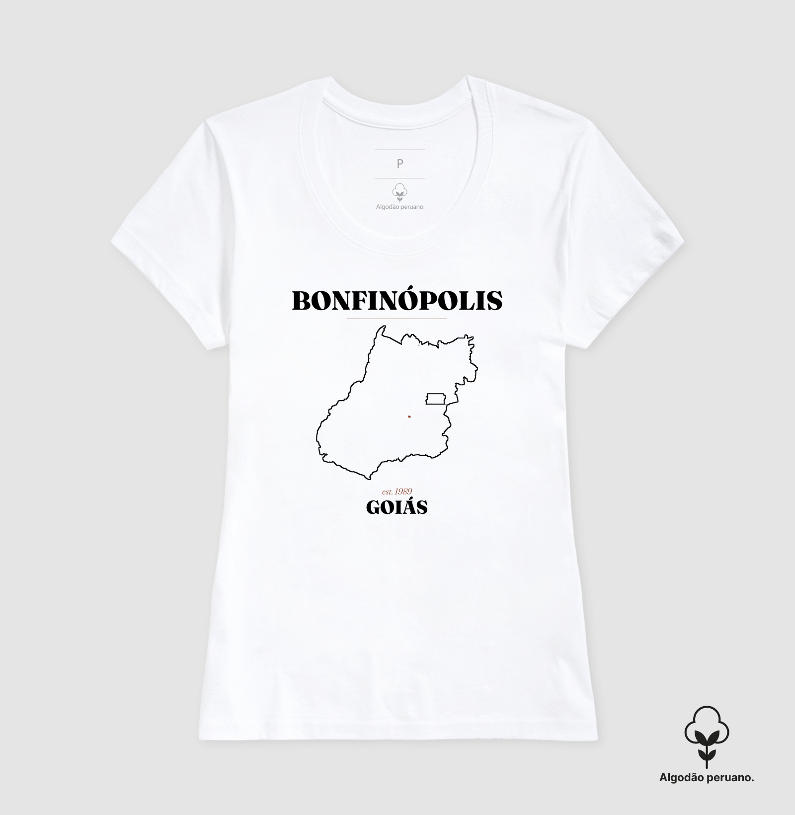 Bonfinópolis | Legado GO - Imagem 2