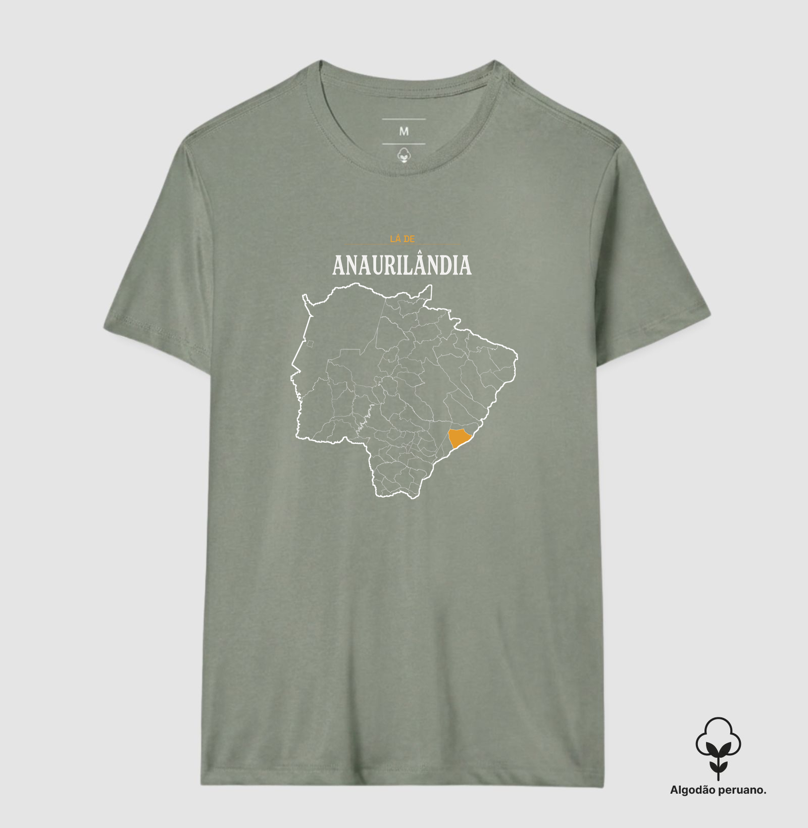 Anaurilândia | Território MS - Imagem 9