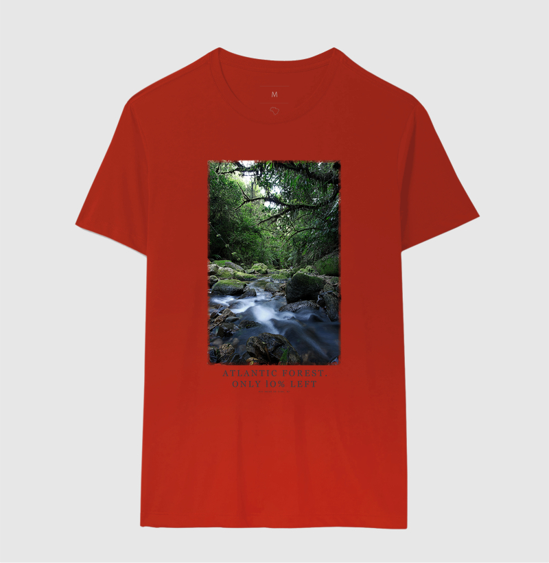 Atlantic Forest - Imagem 6